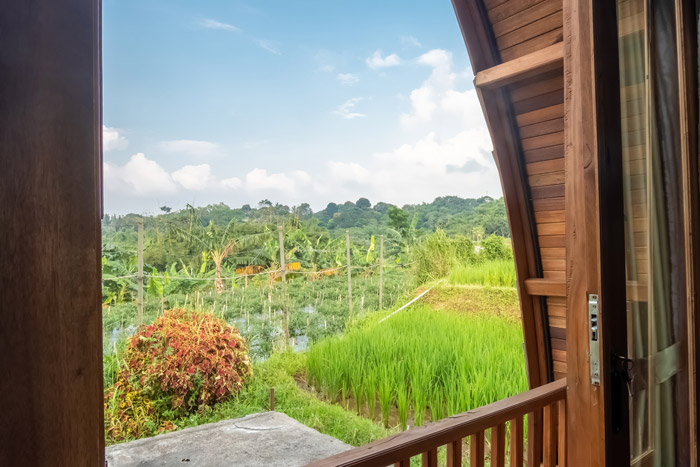 Dangau 6